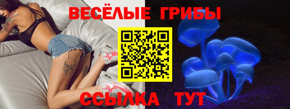 Псилоцибиновые грибы GOLDEN TEACHER  Вход с VPN  Уссурийск 